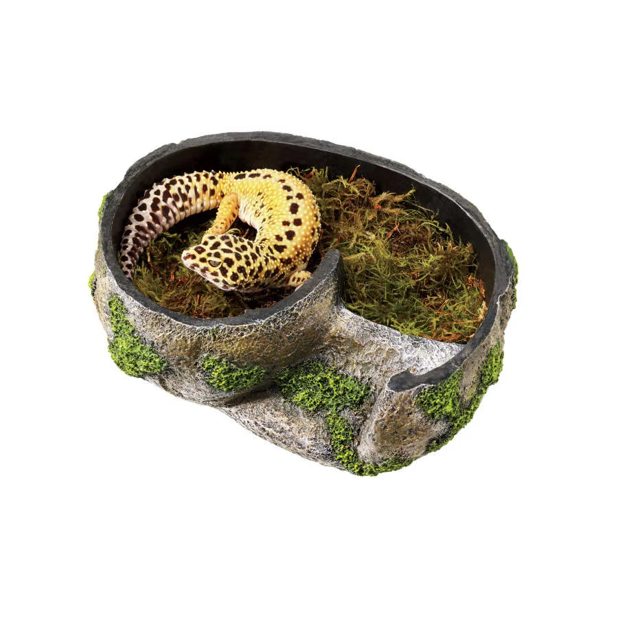 Zilla Rock Lairs Medium - Image 2