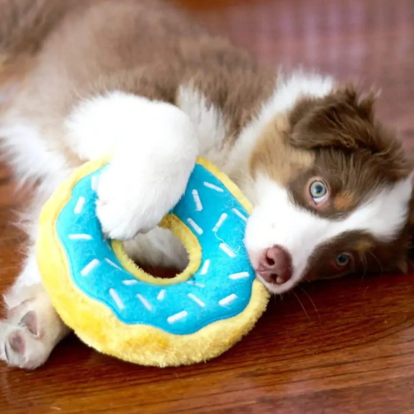 ZippyPaws Donutz Dog Toy Blueberry, Medium - Image 2