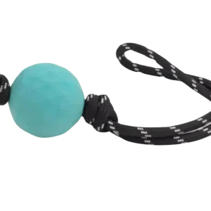 ZippyTuff Waggle RopeTugz Toy