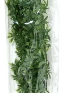 Zoo Med Cannabis Plant 22in
