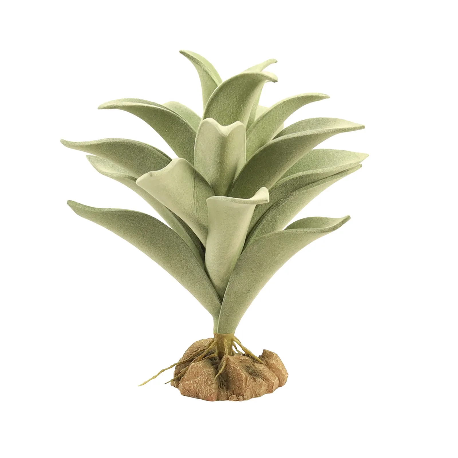 Zoo Med Desert Plant Silver Mullien - Image 2