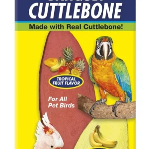 Zoo Med Laboratories Large Banquet Cuttlebone - 8 Oz