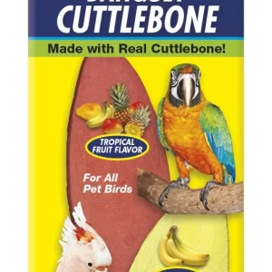 Zoo Med Laboratories Small Banquet Cuttlebone for All Pet Birds - 3 Oz