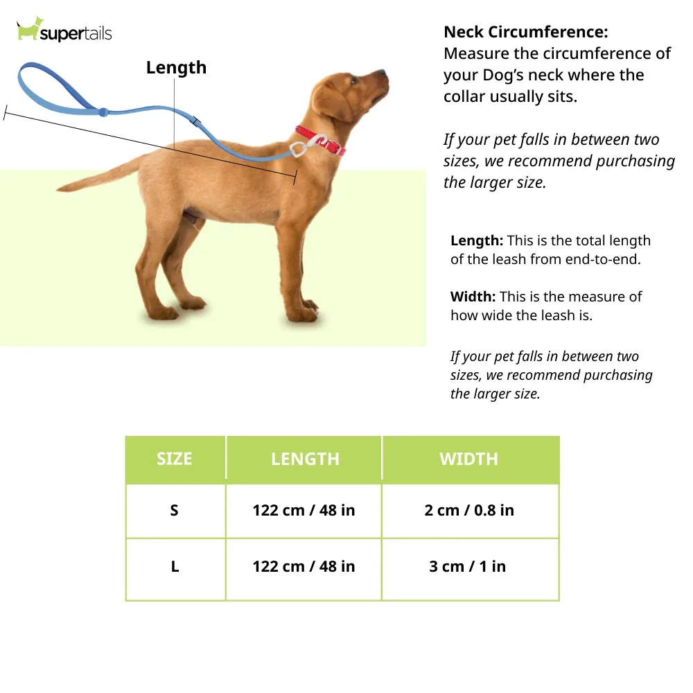 Zoomiez Splash Printed Leash for Dogs - Image 2
