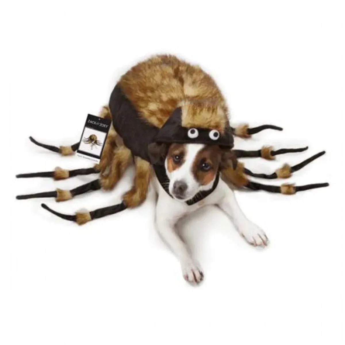 ZZ Fuzzy Tarantula Costume - Image 2